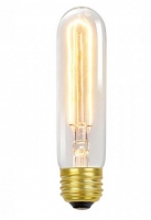 Edison Leuchtmittel T10 x 2